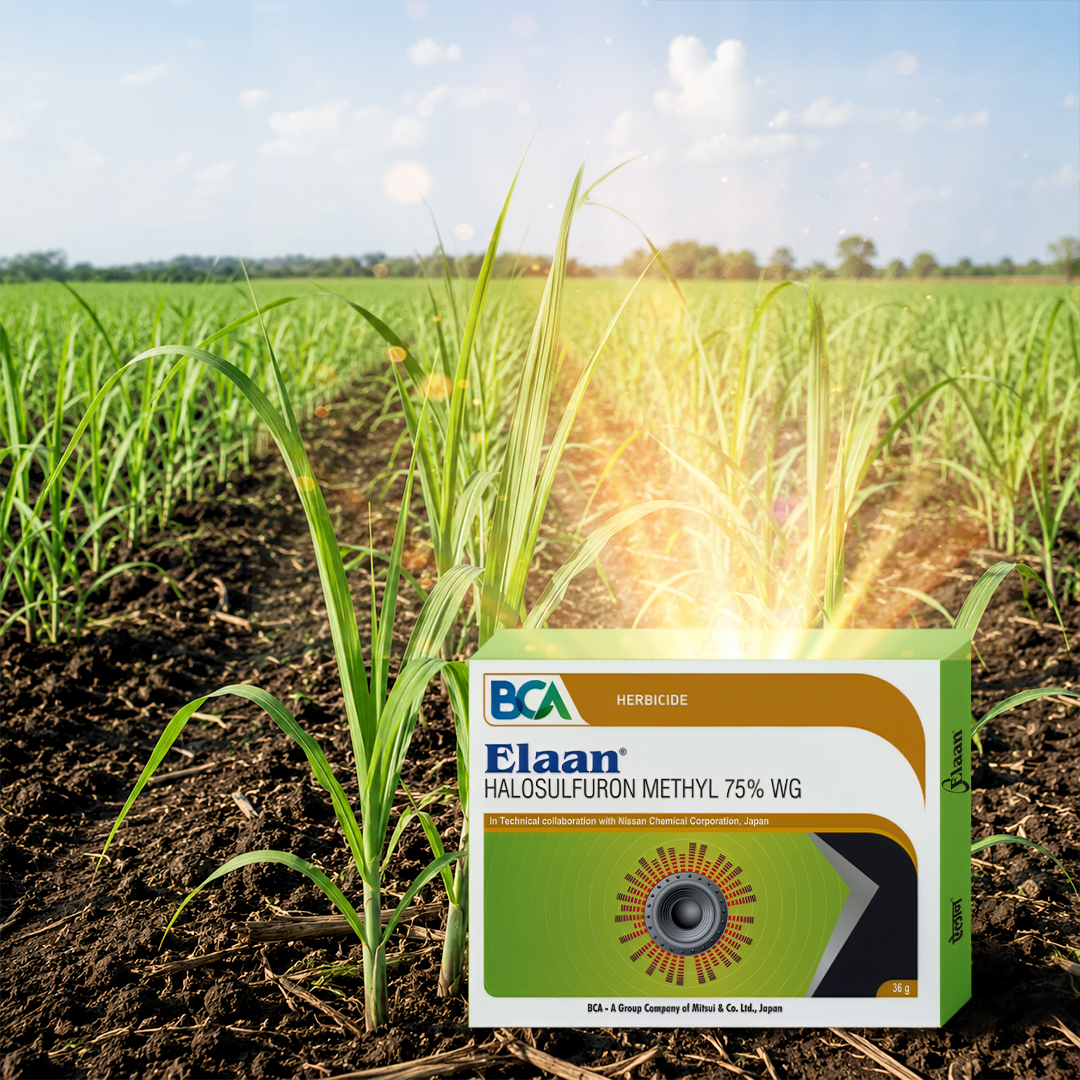 What Is a Post-Emergence Herbicide - Elaan by Bharat Certis